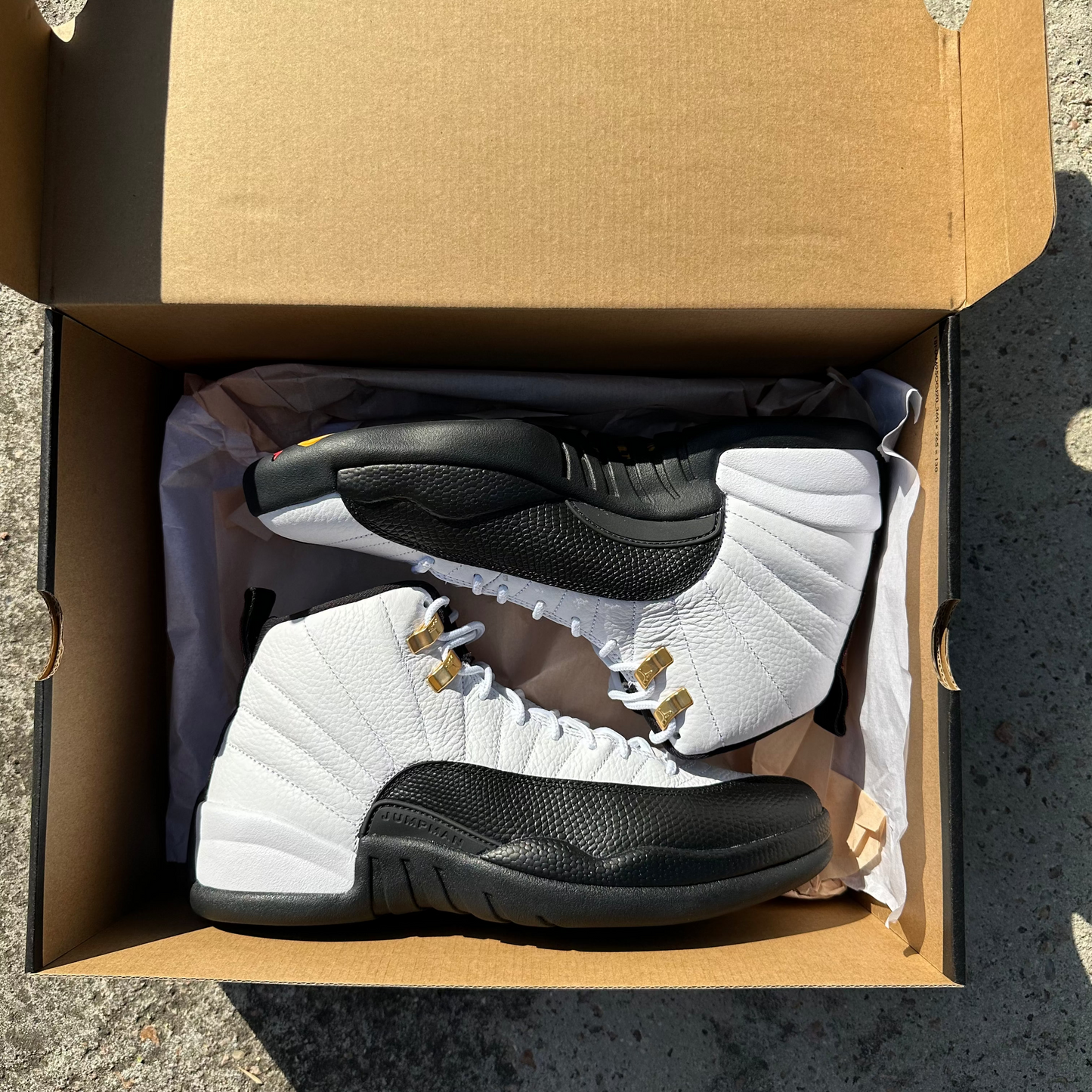 Jordan 12 "Taxi" #pepos