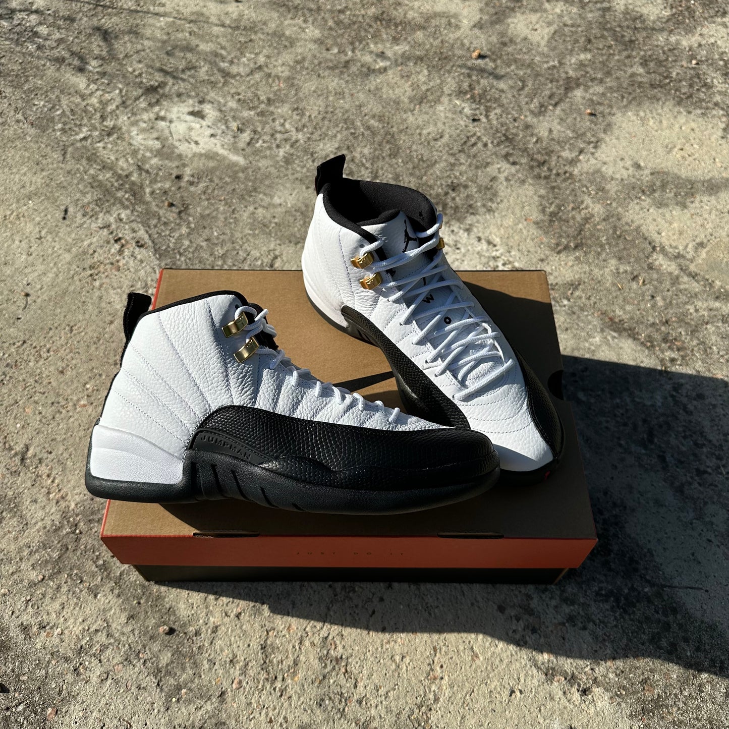 Jordan 12 "Taxi" #pepos